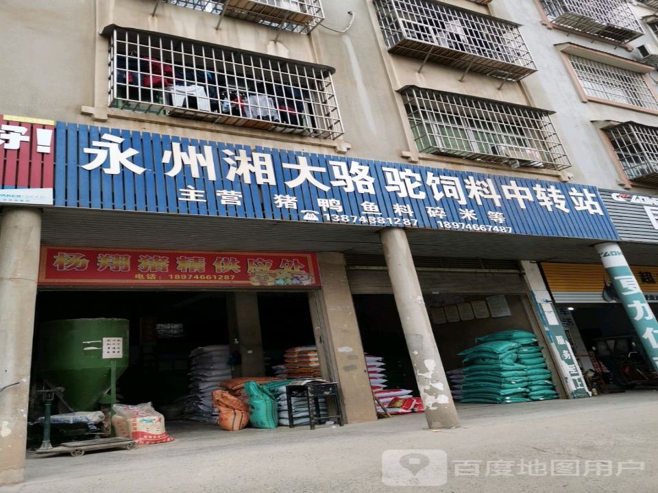 永州湘大骆驼饲料中转站