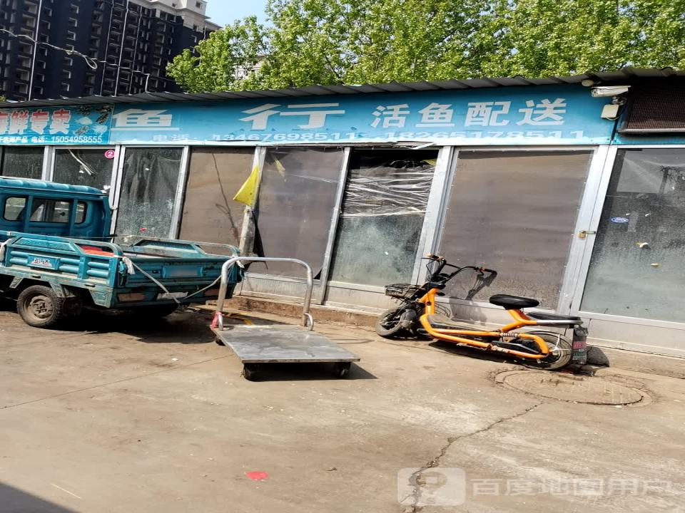 鱼行活鱼配送