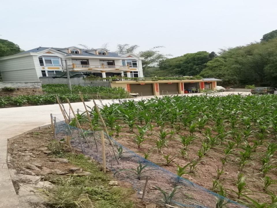 长宁果美食品配送中心