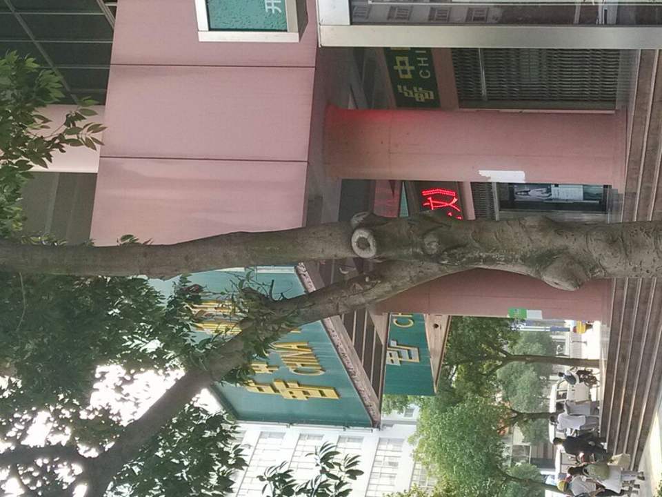 中国邮政(普阳路支局)
