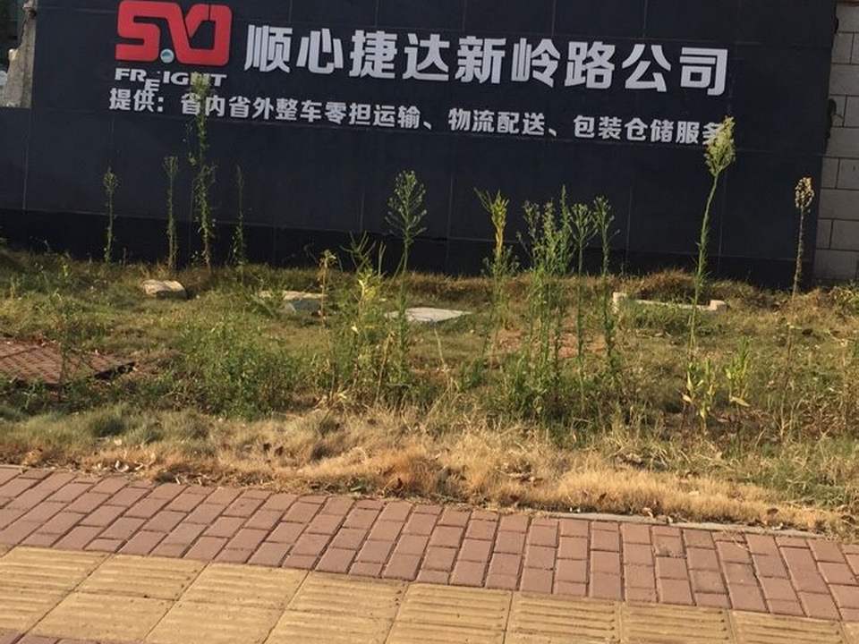 顺心捷达新岭路店