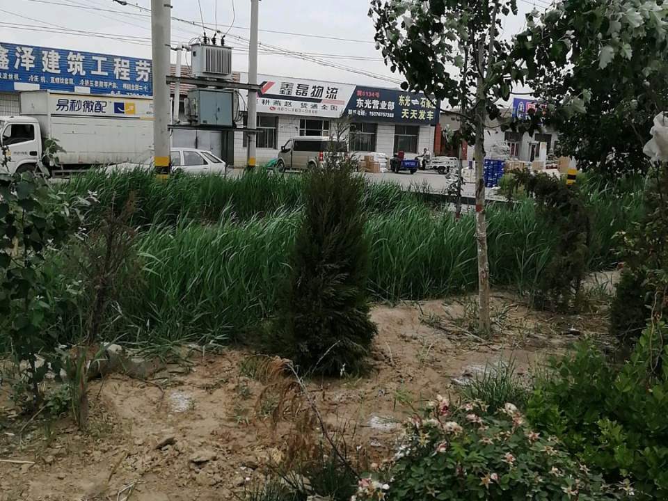 鑫磊物流东光营业部(观州路店)