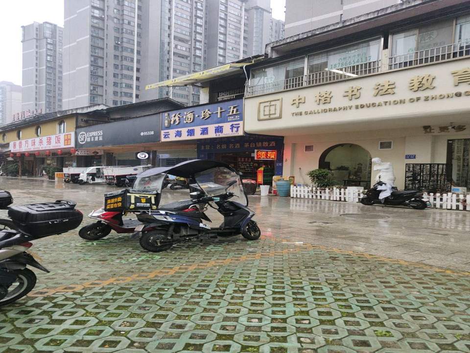 顺丰速运(数博大道长岭南路店)