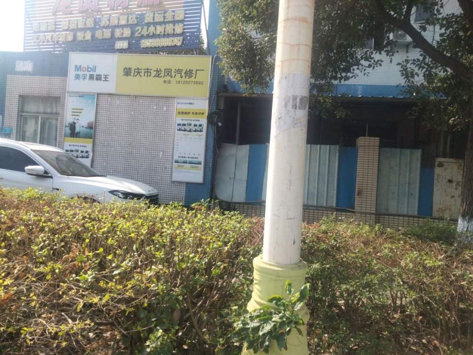龙凤物流