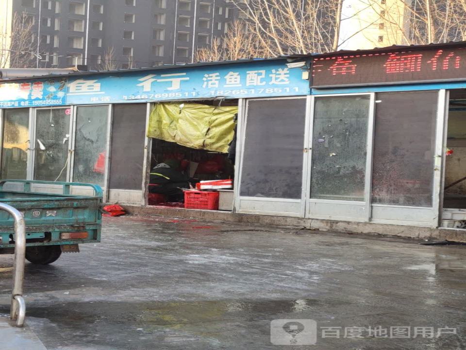 鱼行活鱼配送
