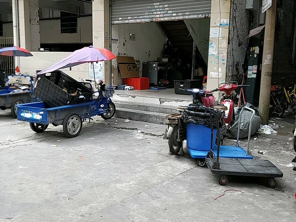 顺丰速运(棠下荷光五横路店)