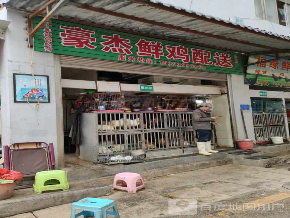 豪杰鲜鸡配送