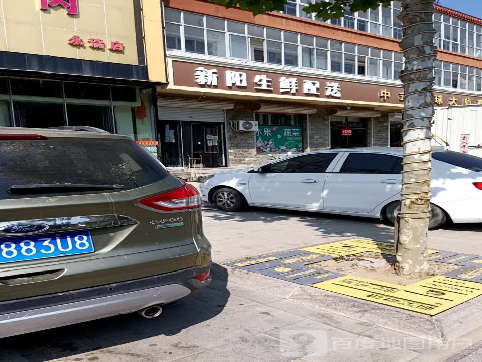 新阳生鲜配送