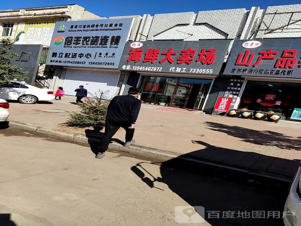倍丰农资连锁鹤立配送中心(振兴路店)