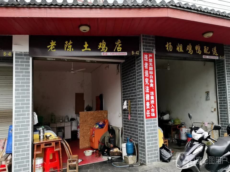 杨姐鸡鸭配送