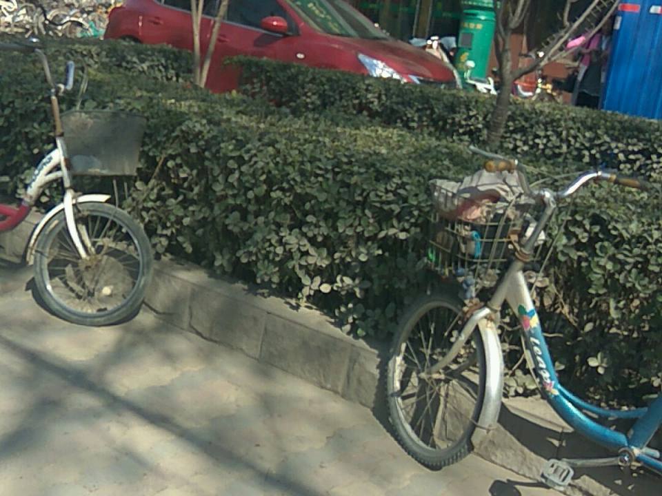 中国邮政(谈固南大街邮电所)