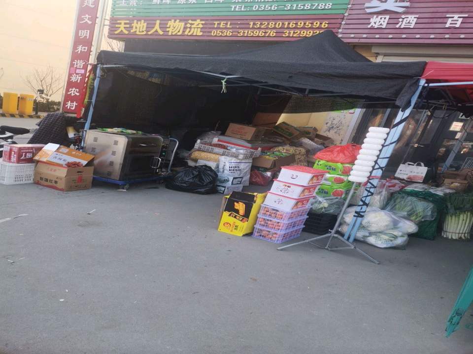 天地人物流