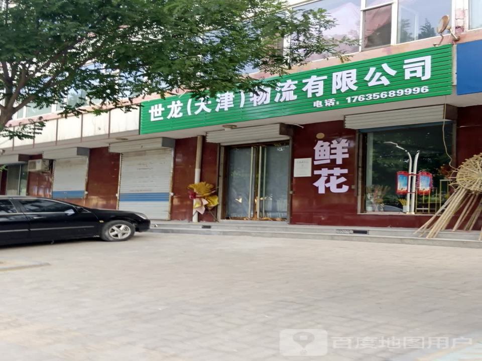 世龙(天津)物流有限公司