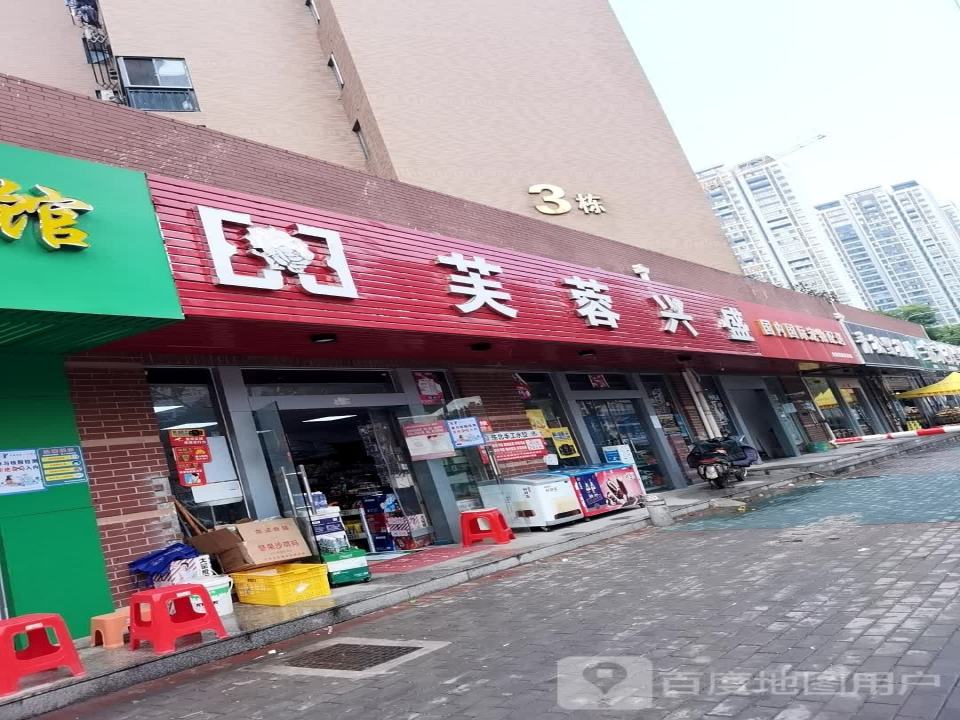 国内国际宠物托运