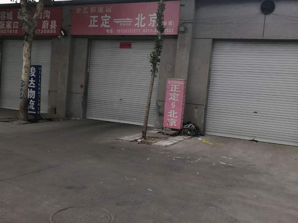 金艺彩物流