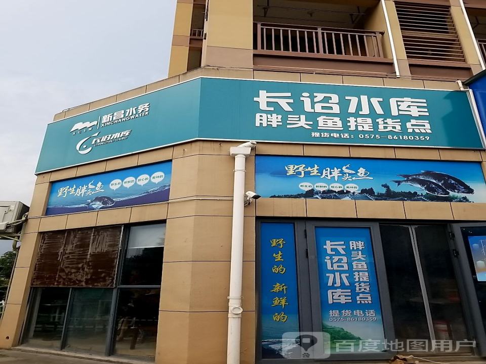 长诏水库胖头鱼提货点