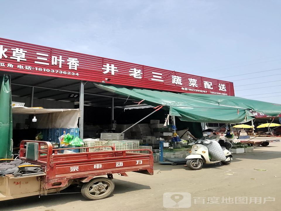 井老三各种青菜配送中心