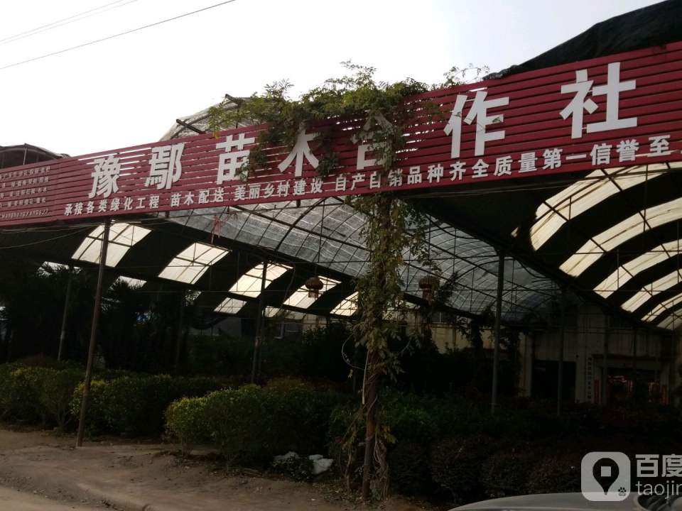 豫鄢苗木配送中心
