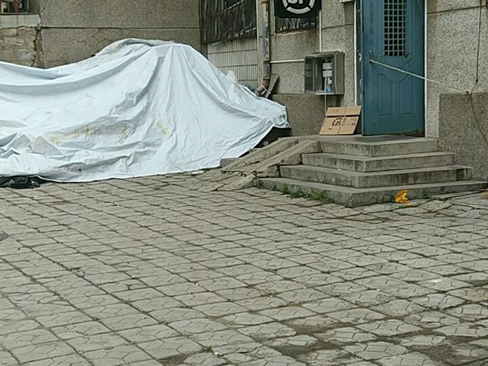 顺丰速运(大连市西岗区北岗桥营业点)
