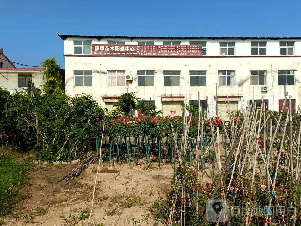 豫鄢苗木配送中心