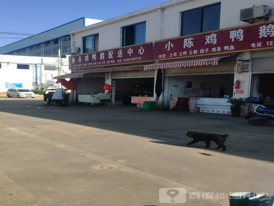 孙兵鸡鸭鹅配送中心