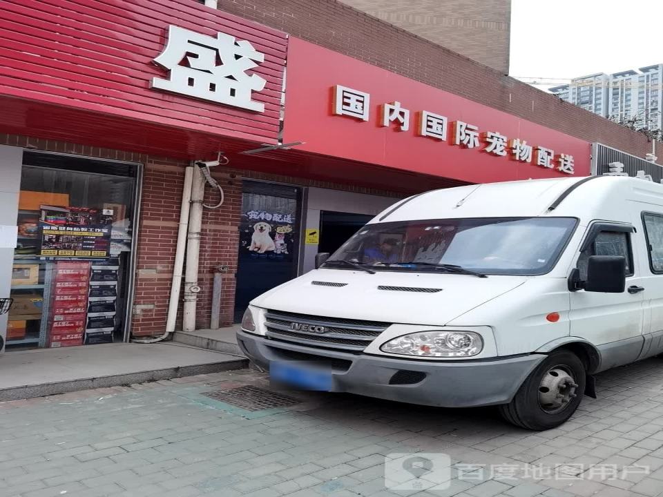 国内国际宠物托运
