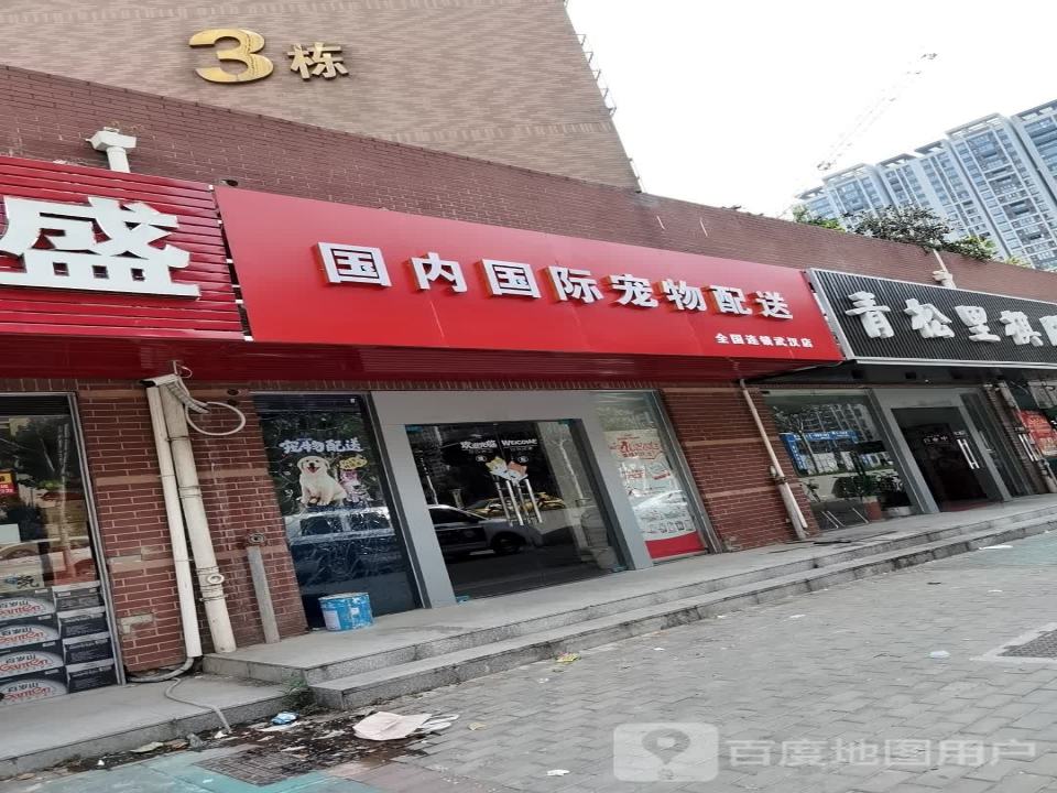 国内国际宠物托运