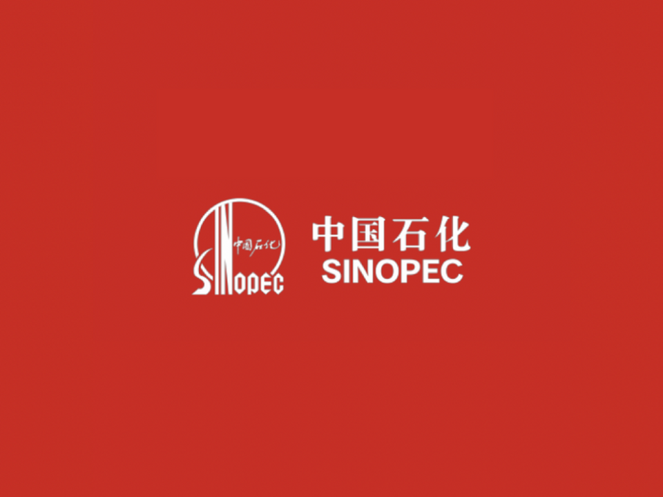 中国石化(潍坊安丘第六加油站)