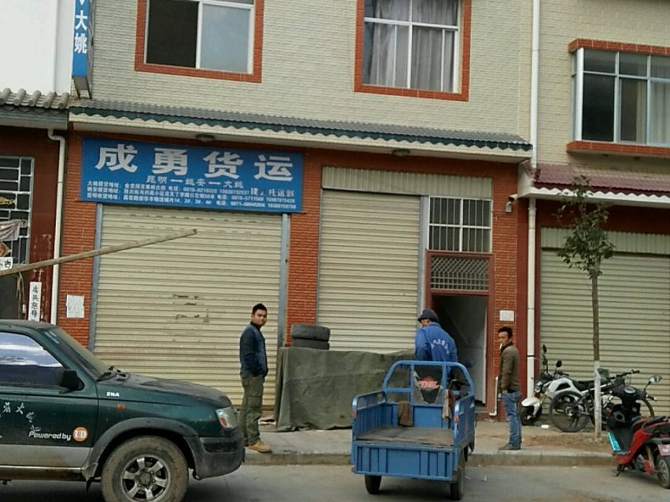 成勇货运
