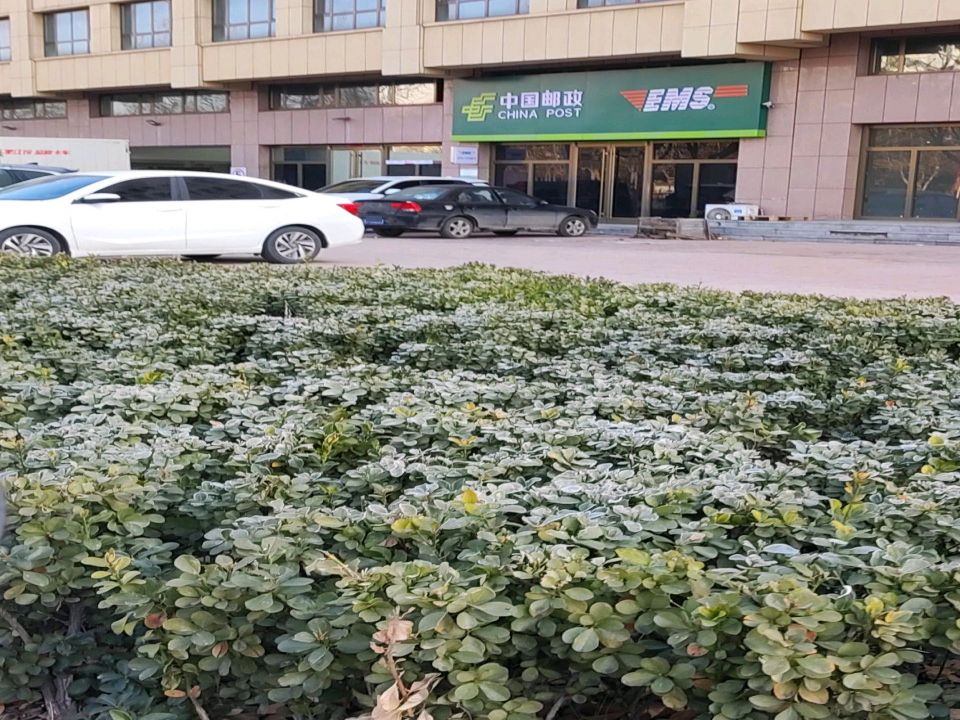 中国邮政龙口市南山揽投部(荣乌高速)