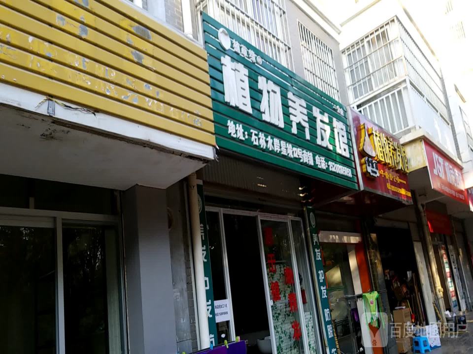 极兔速递(石林县网点)