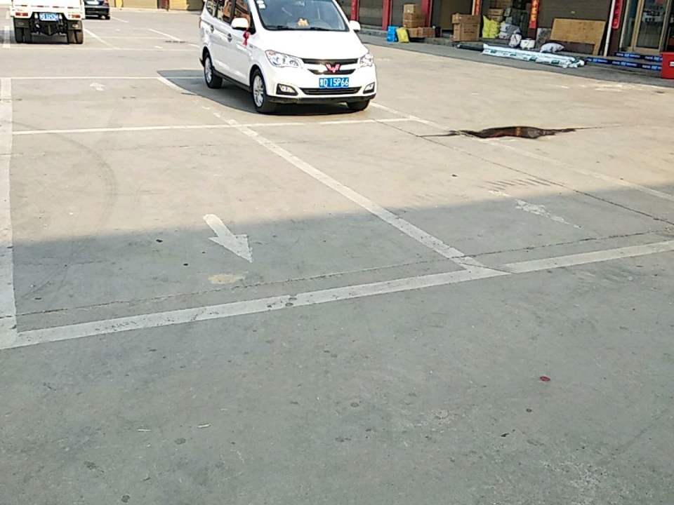 金象物流