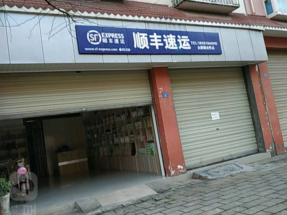 顺丰速运(龙王街店)