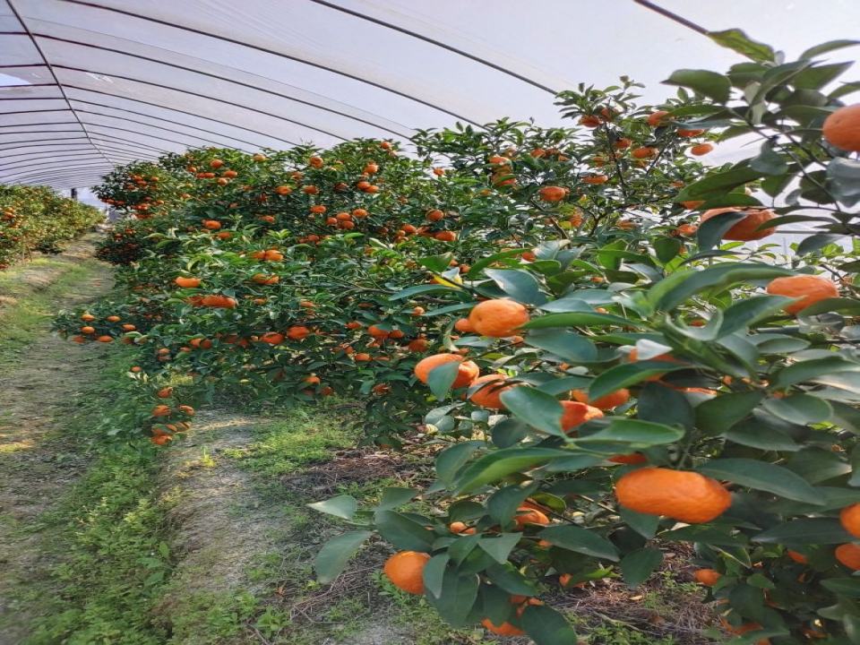 田上居配送中心