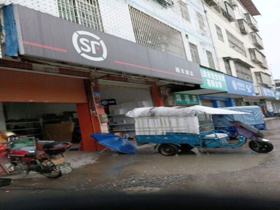 顺丰速运(侯公渡营业点)