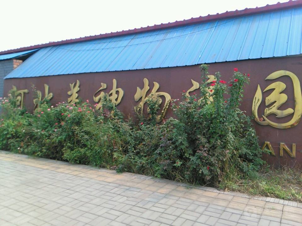 河北美神物流园