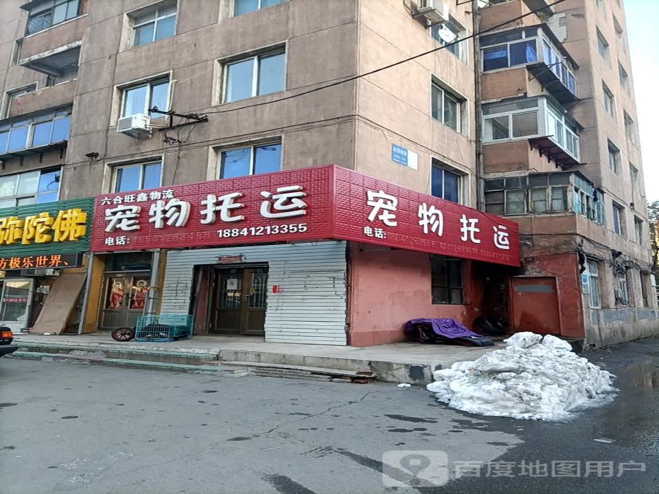 石头宠物托运总部