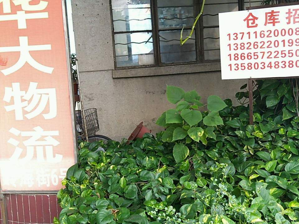 广东省华大物流总公司(石围塘分公司)