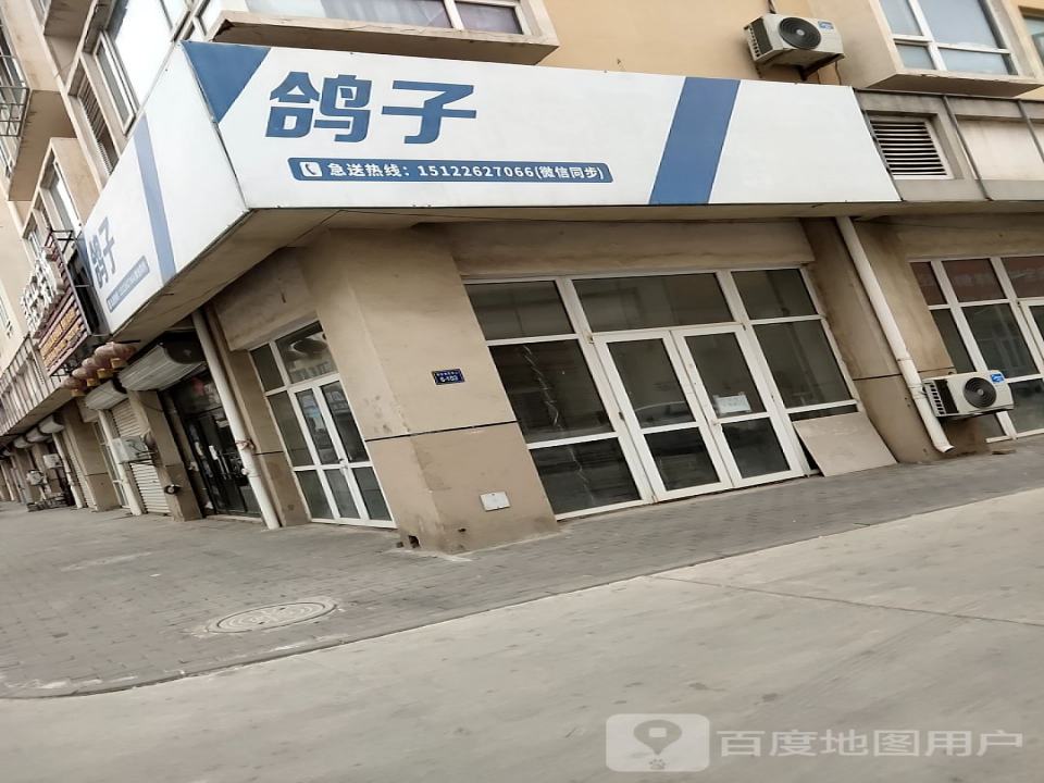 鸽子快运