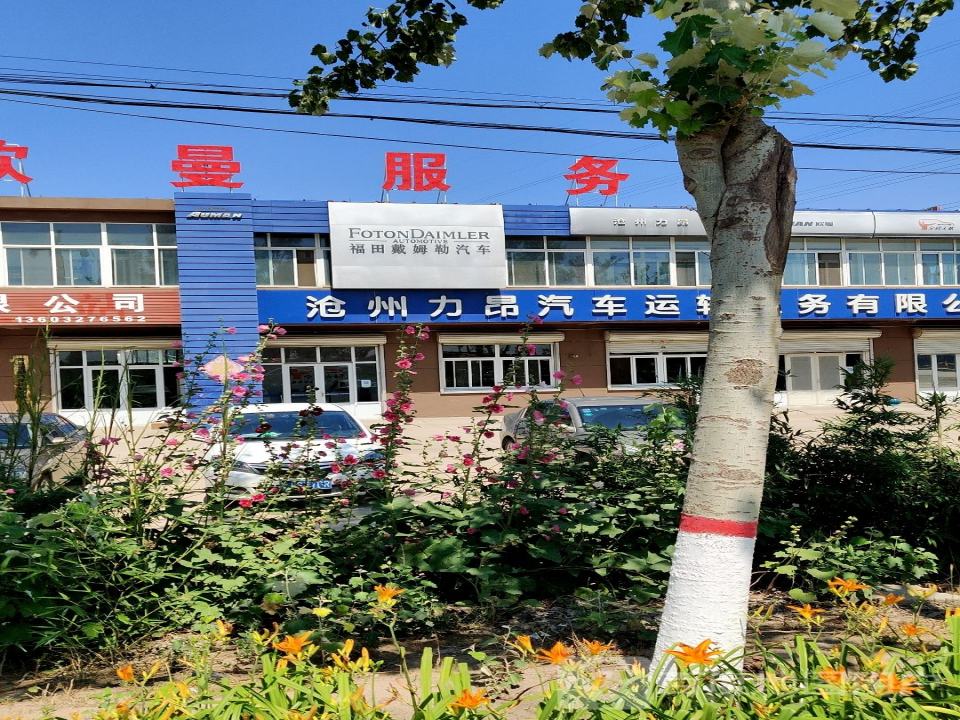沧州力昂汽车运输服务有限公司