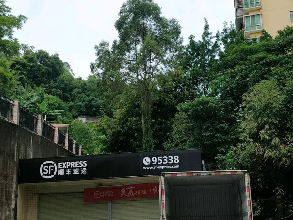 顺丰速运(小石壁路店)