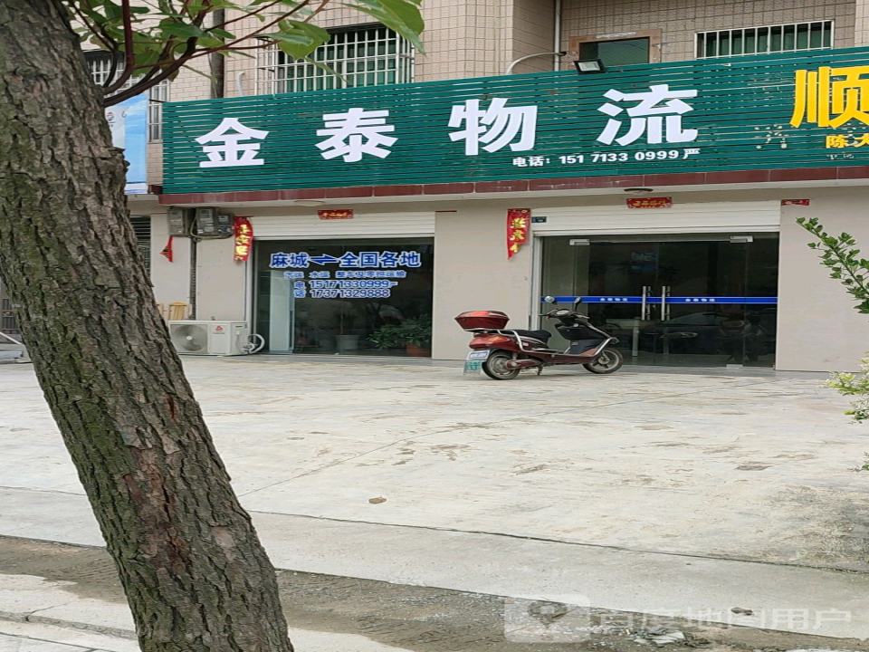 金泰物流(S206店)
