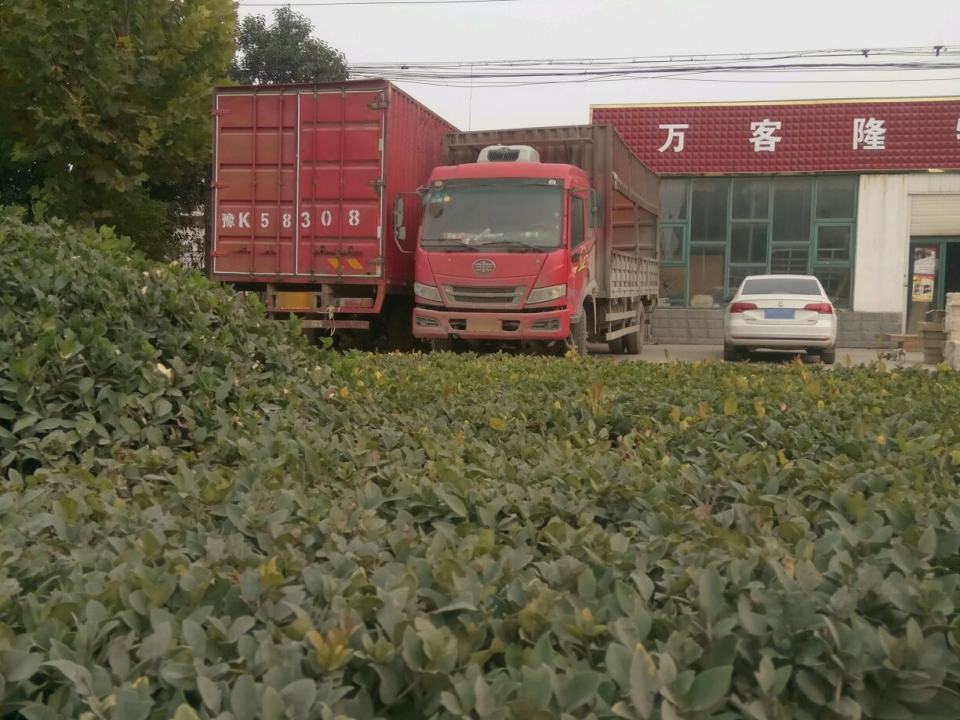 万客隆物流
