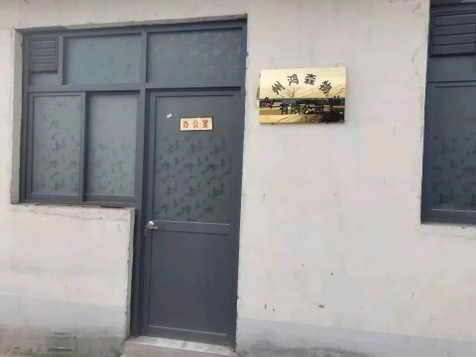鸿森物流有限公司