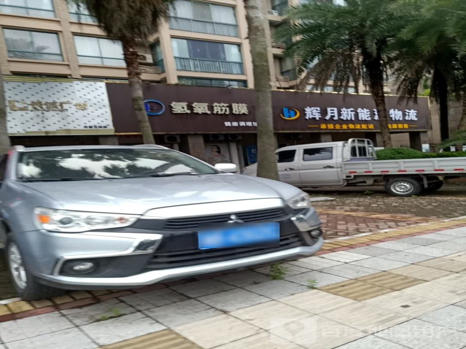 辉月新能源物流
