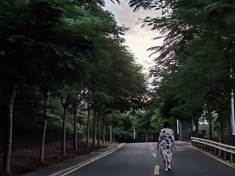 顺丰速运(攀枝花市西区苏铁东路营业点)