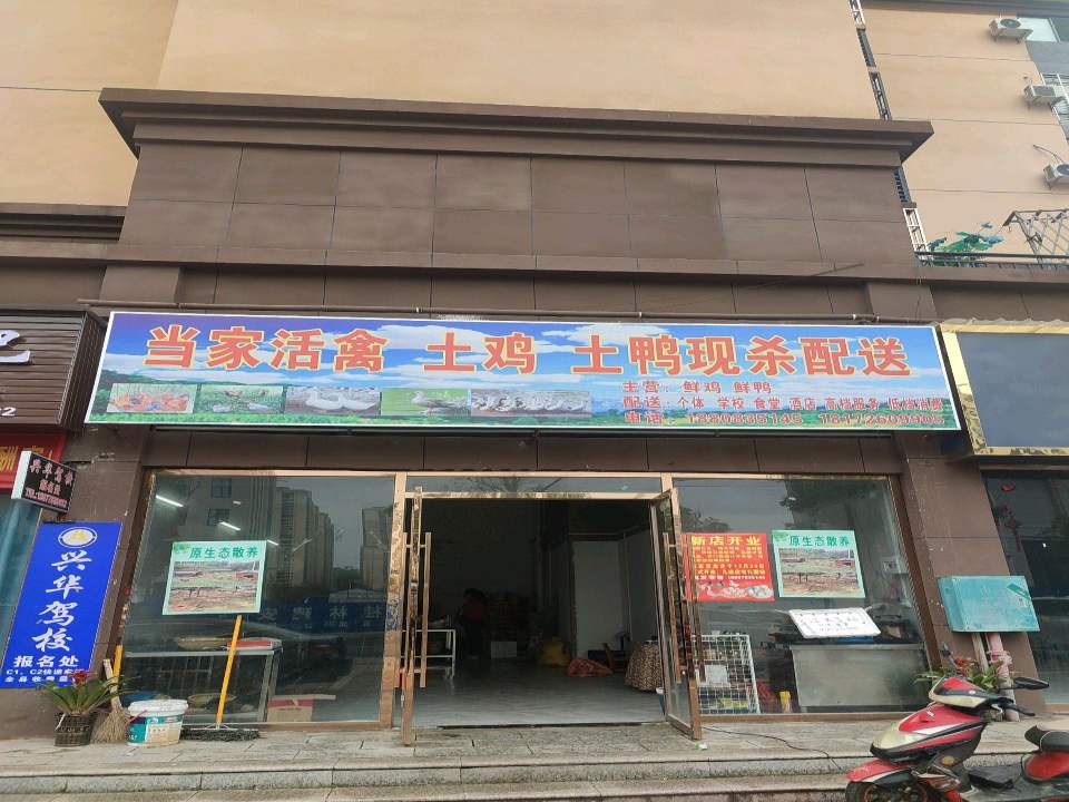 当家活禽土鸡土鸭现杀配送