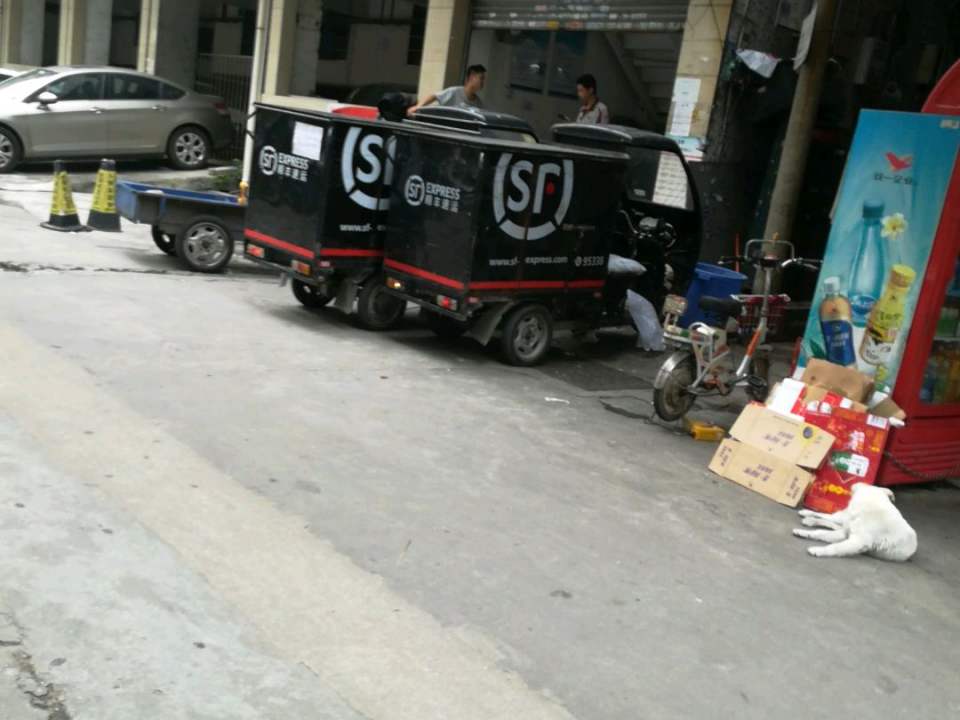 顺丰速运(棠下荷光五横路店)