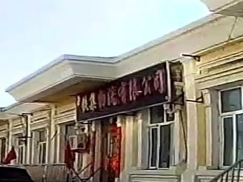 中集物流有限公司