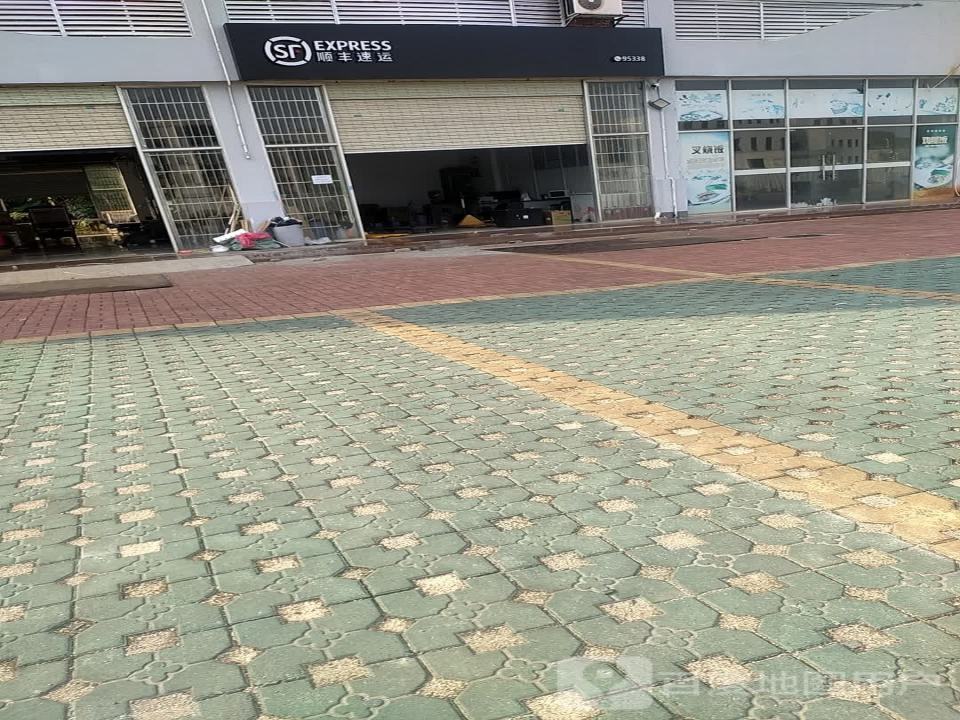顺丰速运(新柳大道店)